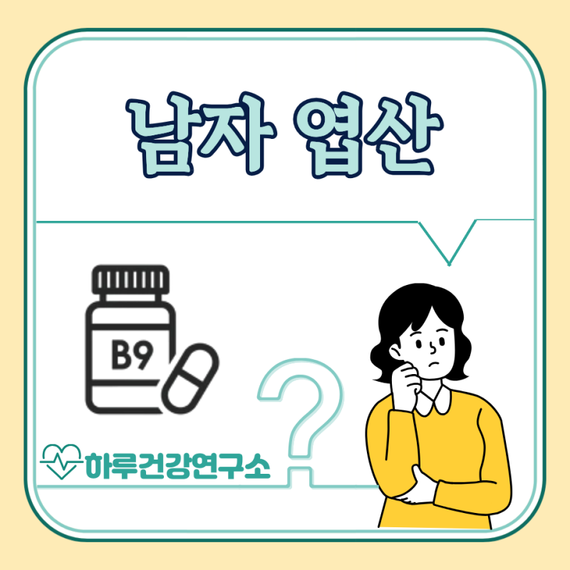 남자 엽산 효능, 복용시간, 부작용 : 활성형 차이