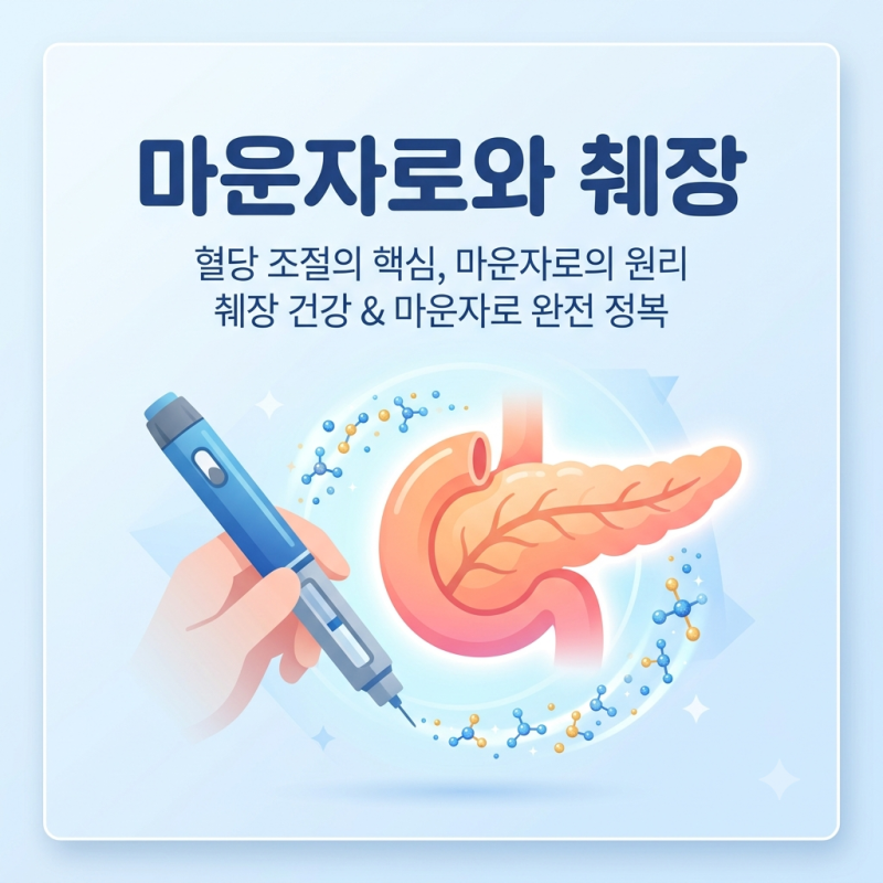 마운자로와 췌장, 정말 췌장염 위험이 있을까? 복용 전 꼭 알아야 할 이야기