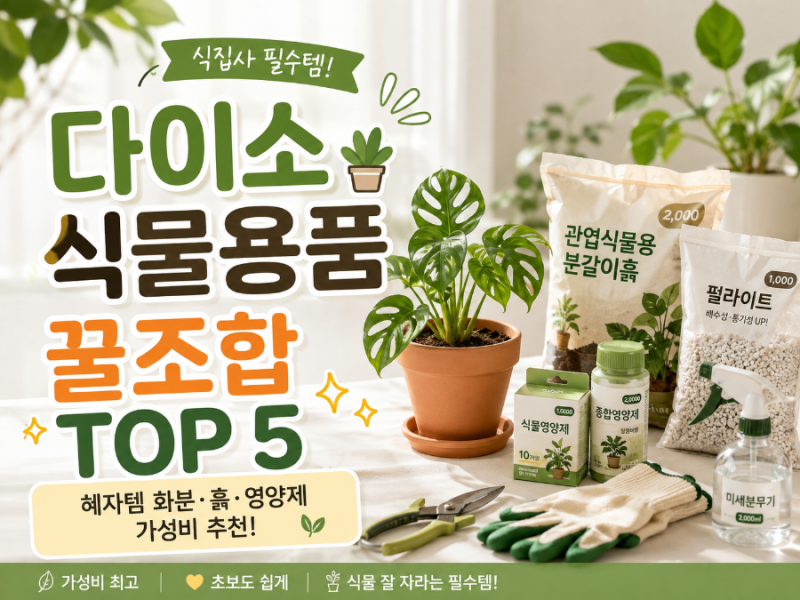 다이소 식물 용품 꿀조합 TOP 5!