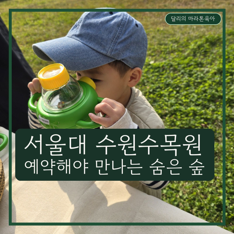 서울대 수원수목원 숲체험, 수원 아기와 한 7가지 활동 후기