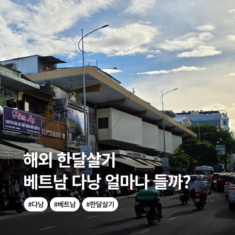 "살아보고 싶어요.." 베트남 다낭 한달살기 비용 계획 정리