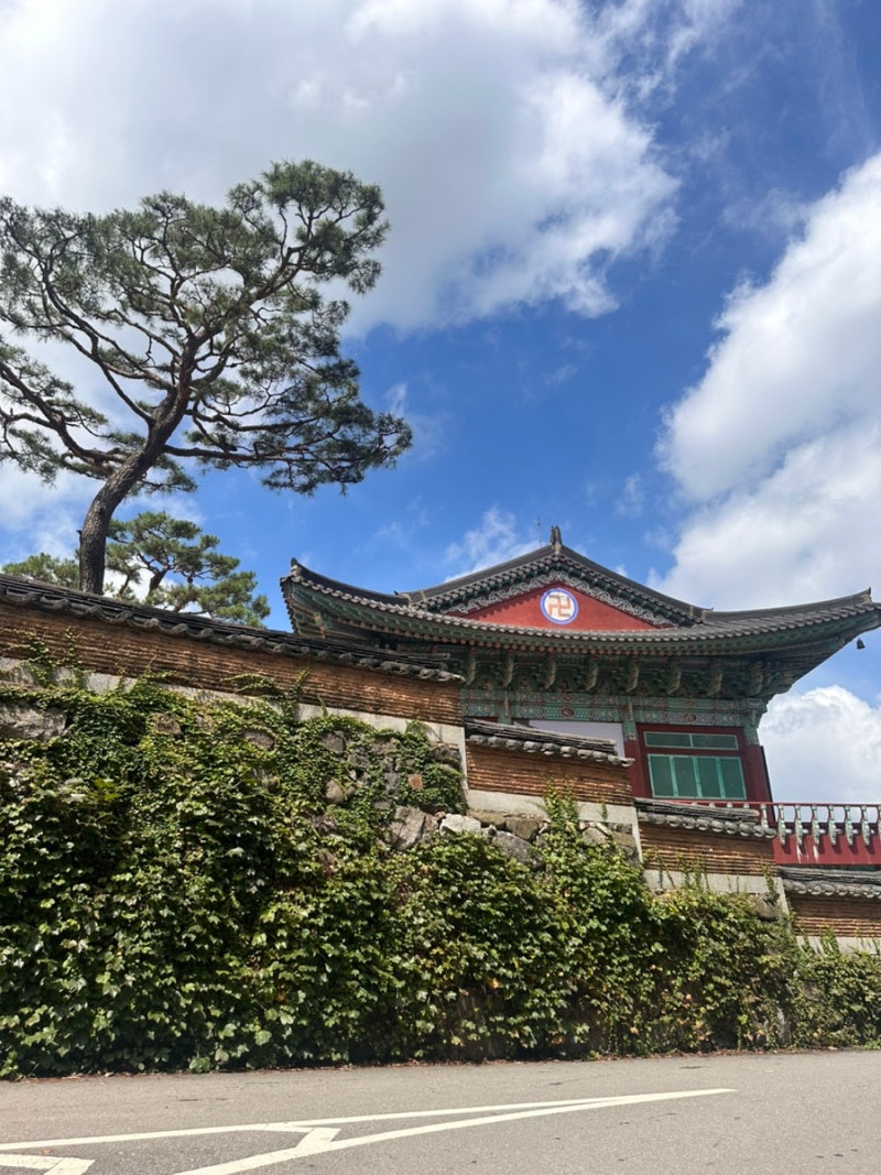 캐스퍼 타고 파주 일산 혼자 여행 / 약천사 스테이씨카페 원당시장 하루 코스
