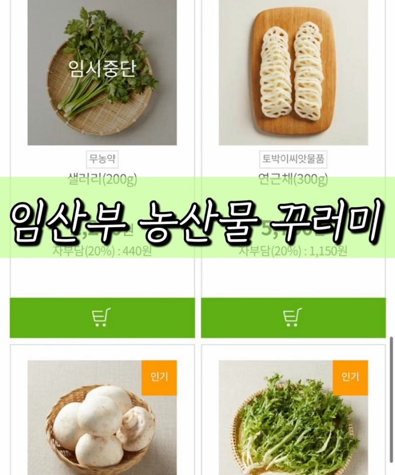 2026년도 대전 임산부 농산물 꾸러미 당첨(주문까지‼️ feat, 한살림)