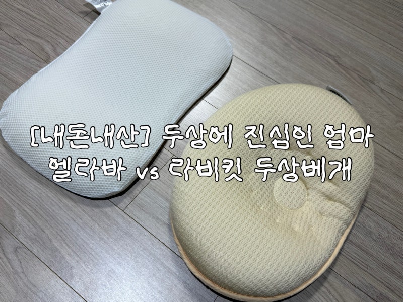 두상에 진심인 엄마의 내돈내산 | 라비킷 vs 엘라바 두상베개 솔직 후기