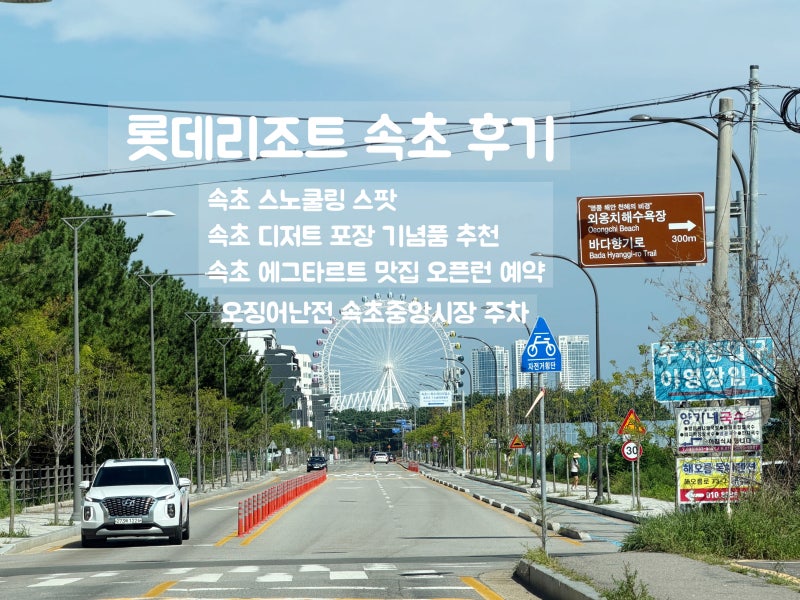 강원도 여행 롯데리조트 속초 호텔디럭스더블 수영장 후기 / 속초 기념품 에그타르트 맛집 ....