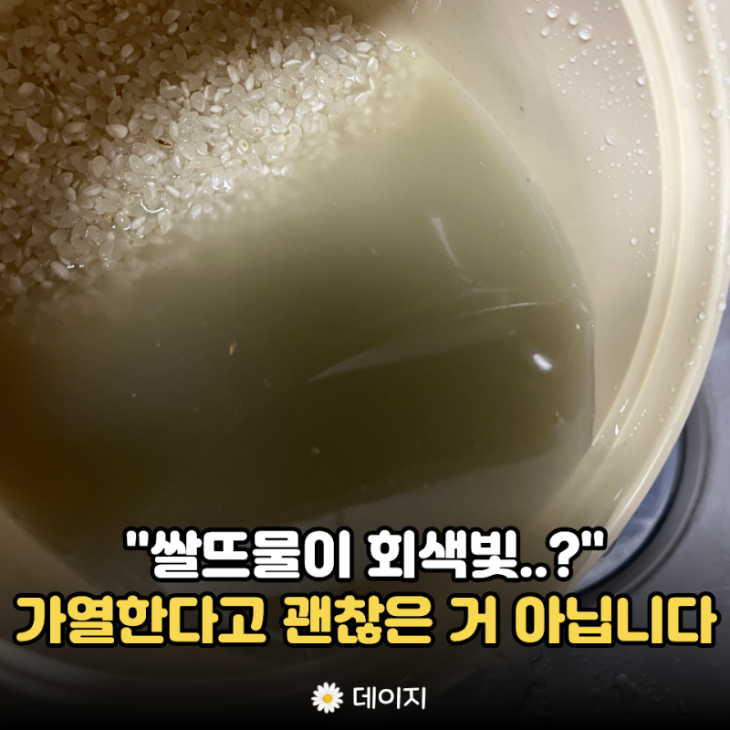 "쌀뜨물이 회색이라면..." 비교해보고 경악했습니다 이제 이렇게 보관하세요