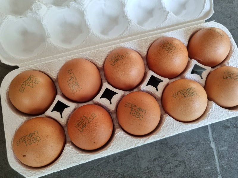 맛의 피크타임을 지키는 하림 오드그로서 당일 산란 달걀