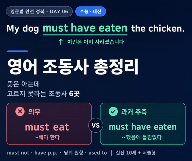 must not과 don't have to가 반대인 이유, 수능·내신 함정 6곳