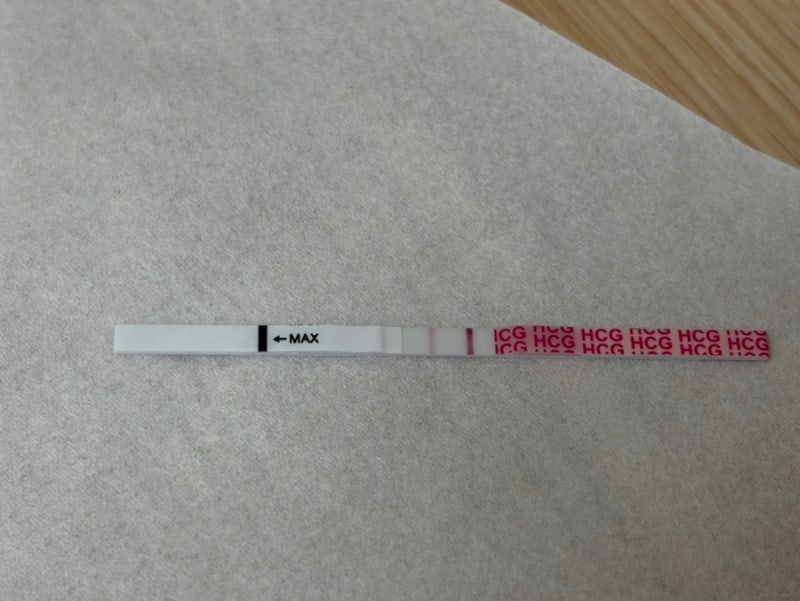 인공수정 도전기 ③ | 인공수정 후 증상과 임신테스트, 임신 확인까지