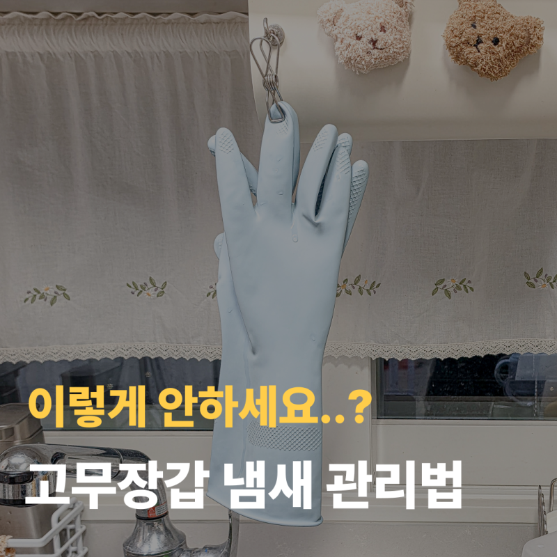 '이외로' 모르는 고무장갑 냄새 관리법, 매일 쓰는 주방용품은 이렇게!