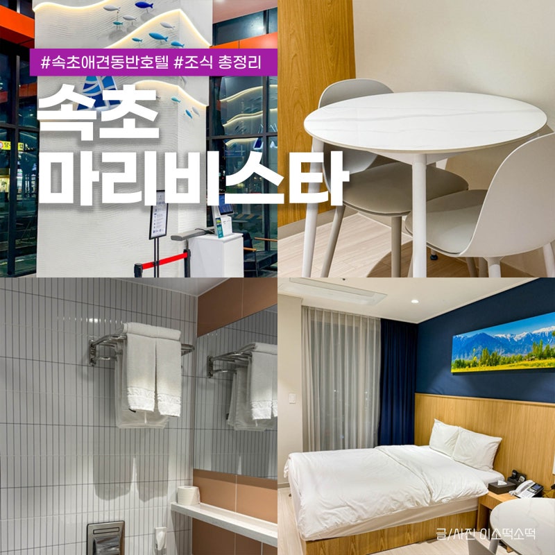 속초 애견동반 호텔 마리비스타 조식 숙소 주차 총정리
