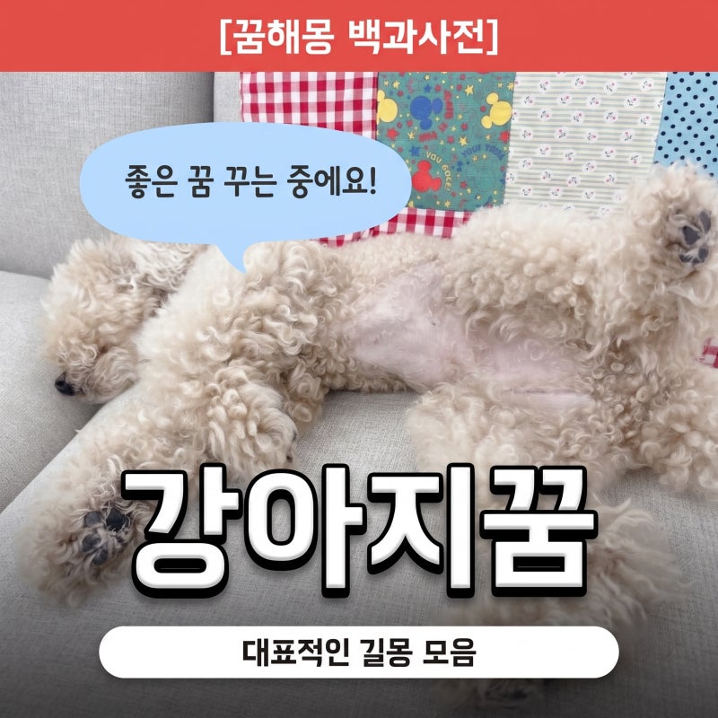 강아지꿈 개꿈 귀인이 찾아오는 신호와 대표적인 길몽 모음