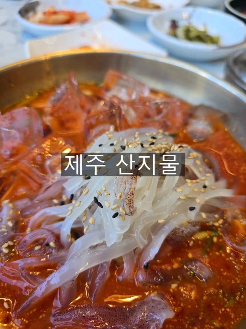 [제주맛집] 제주 공항 근처 블루리본 받은 물회 맛집 산지물 제주공항 본점