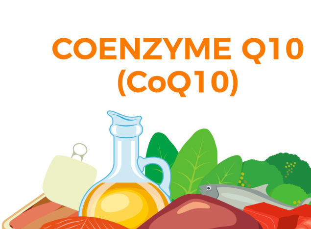 코엔자임 Q10 효능, 복용시간, 복용법, 먹는시간, 임산부, 혈압, 권장량, 복용량, 많은음식, 종....