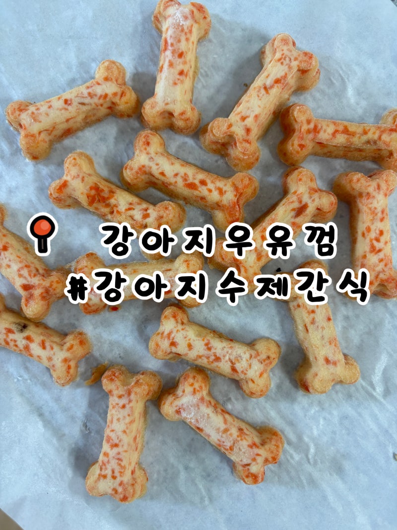 강아지 수제간식 당근우유껌·브로콜리 우유껌 만들기