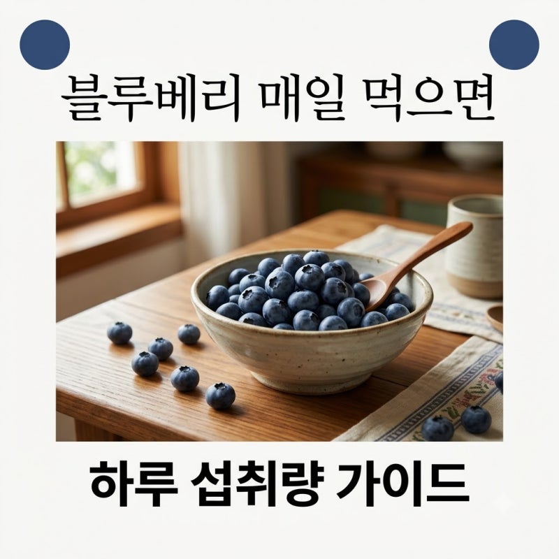 블루베리 매일 먹으면 일어나는 변화! 안토시아닌 효능과 하루 섭취량