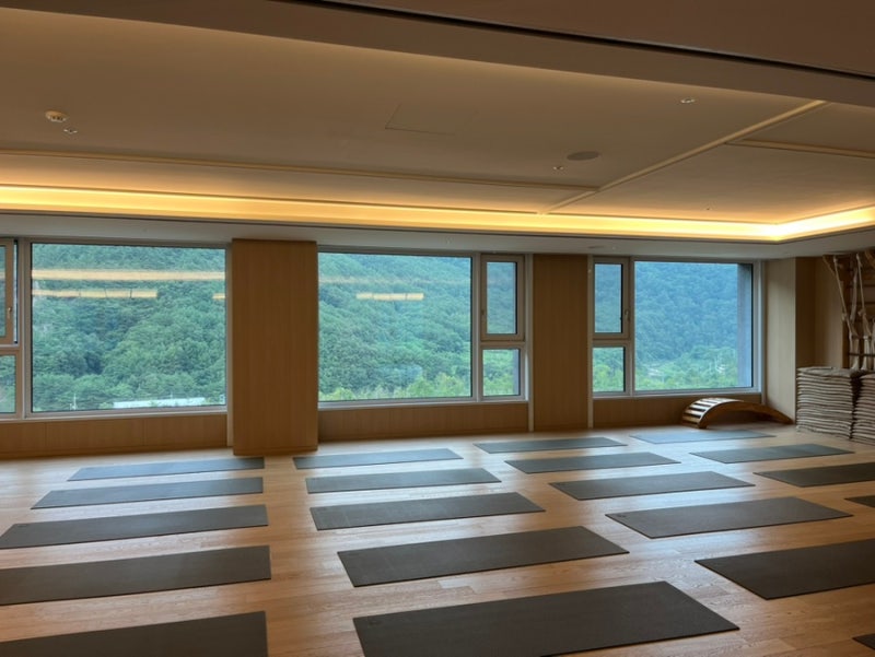 [여행] 정선 파크로쉬 내돈내산 강원도 여행 여름휴가 정선 숙소 정선 호텔 리조트 정선 가볼....