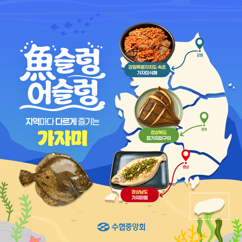 - 지역마다 다르게 즐기는 가자미 한 상