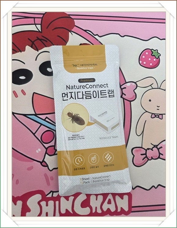 집안에 생긴 먼지다듬이 퇴치한 한 달 기록