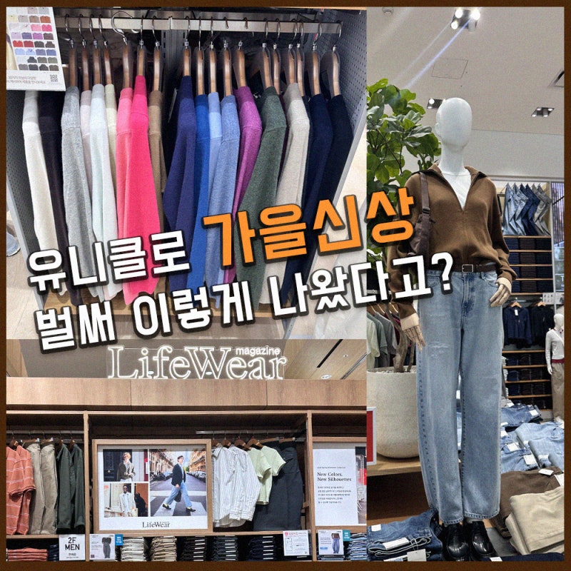 유니클로 가을 신상 추천｜캐시미어 니트부터 점퍼까지
