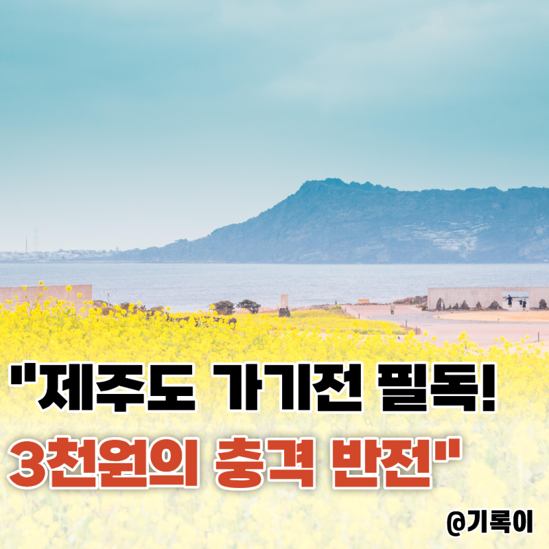"제주도 가는데 굳이 들어야 해?" 커피 한 잔 값 여행자보험의 숨겨진 보장 3가지