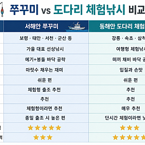서해안 쭈꾸미 vs 동해안 도다리 체험낚시 비교, 초보자는 어디가 좋을까?