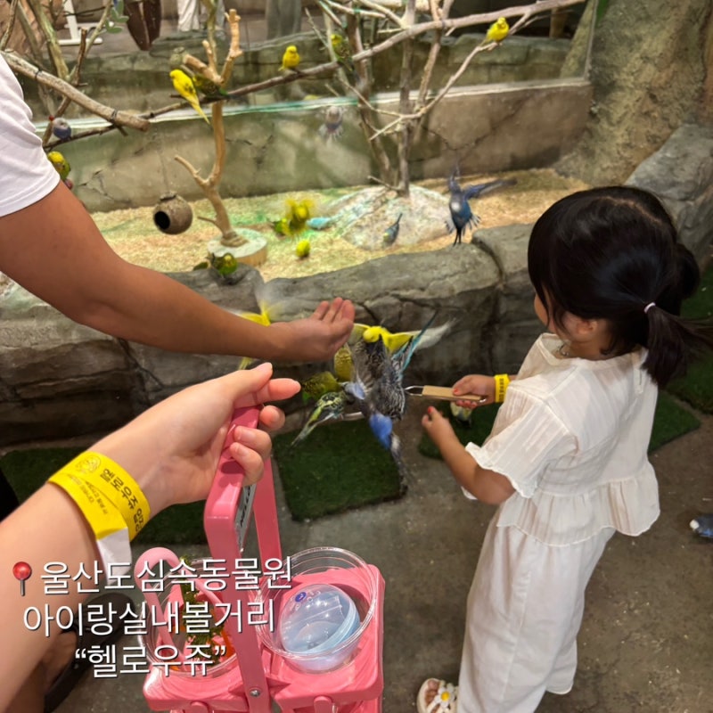 울산 송정동 실내동물원 헬로우쥬 아이랑 꾸준히 재방문중인곳