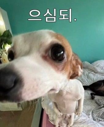 갑상선 수술 결정과정 후기