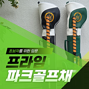 파크골프채 입문용, 처음 시작하신다면 이것부터 확인하세요(+최종정리요약)