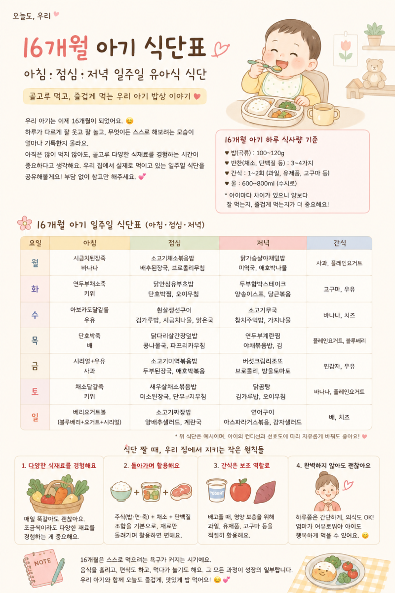 16개월 아기 식단표｜아침·점심·저녁 일주일 유아식