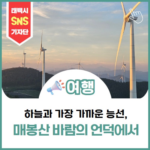 [여행]하늘과 가장 가까운 능선, 매봉산 바람의 언덕에서