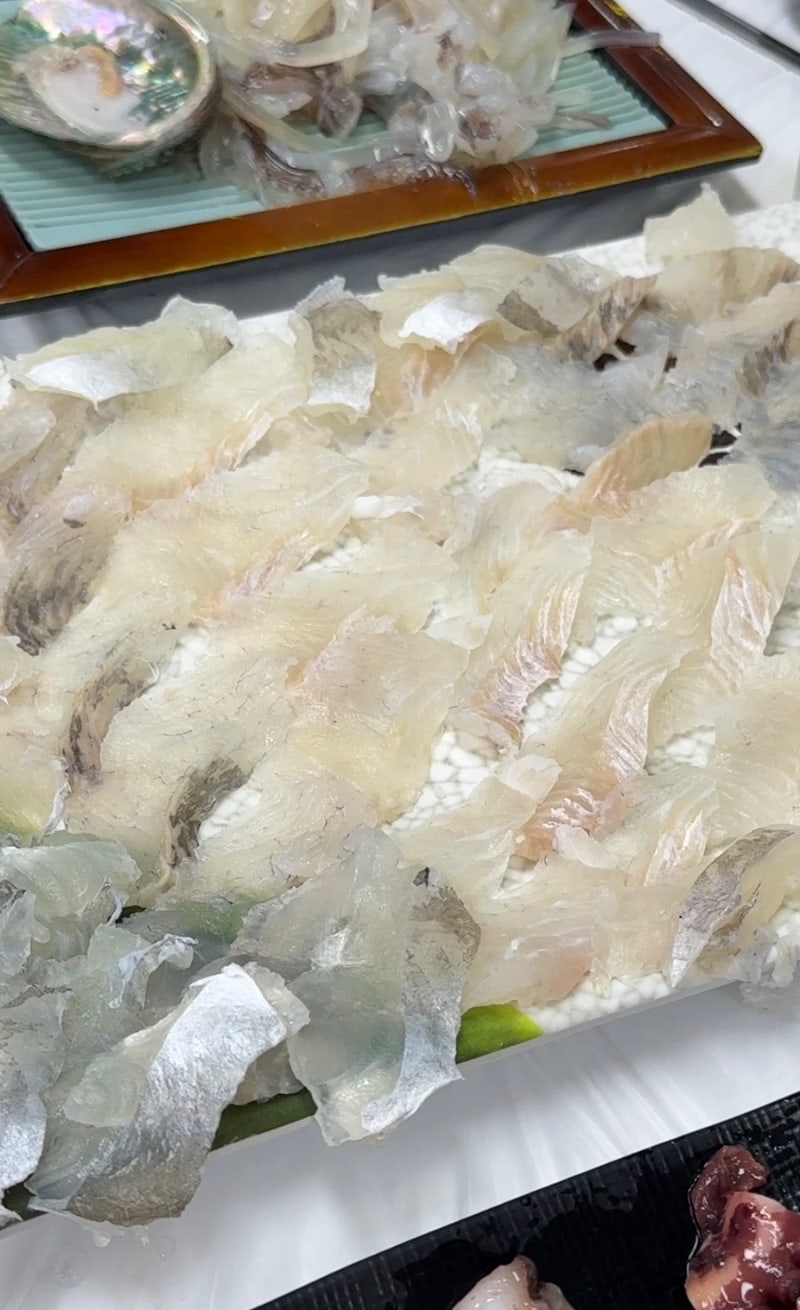 양양 백씨네 횟집 모둠회 후기 스끼다시까지 푸짐했던 곳, 포타라카 근처 맛집