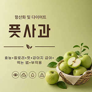 풋사과 효능 7가지 칼로리 뜻 강아지 급여해도 되나요 먹는법 부작용