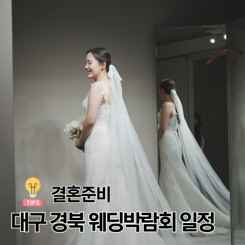 대구 웨딩박람회 10월 일정 예비부부 스드메 결혼 준비 추천