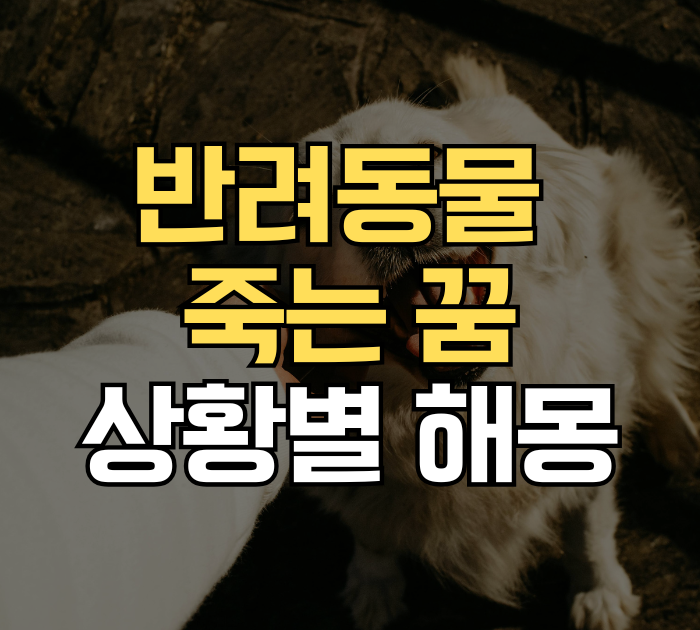 반려동물 죽는 꿈, 정말 나쁜 꿈일까? 오히려 좋은 변화를 암시하는 상황별 꿈해몽