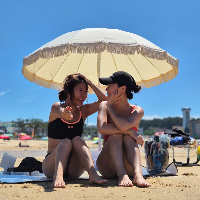 충남 태안 만리포 해수욕장 1박2일 차박 즐기기: 천리포항과 파도리 해수욕장 까지 알차게 관....