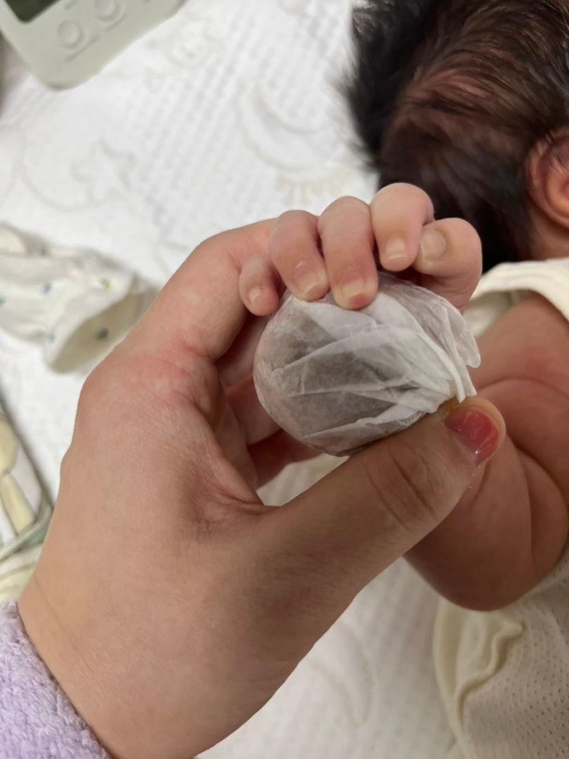 마곡역디저트선물: 복호두마곡역점 신상 '밤호두과자 후기'