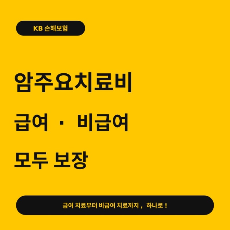 kb손해보험 암주요치료비 암치료 급여 비급여 모두 보장되는 만원대 암통치 암치료비