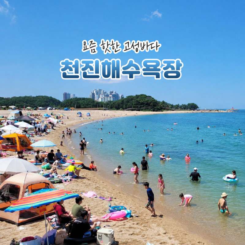 강원도 고성바다 어디로? 천진해수욕장 국내 여름여행지 추천