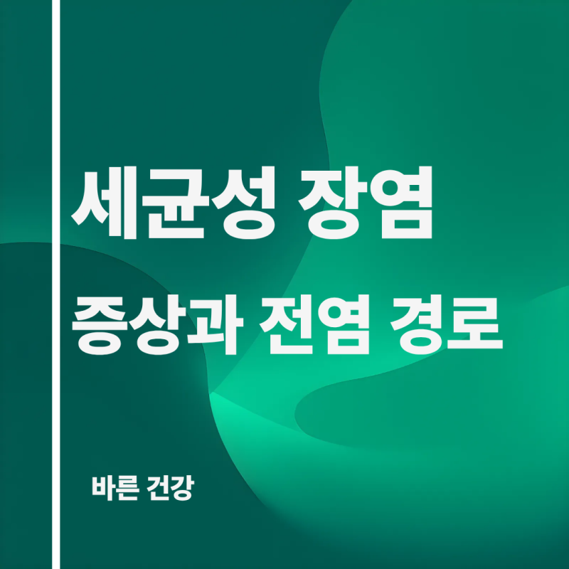 세균성 장염 증상 및 전염 경로 예방 방법 확인