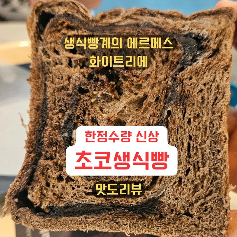 생식빵 전문점 화이트리에 외대역점 신상 초코생식빵 | 먹어본 리얼후기