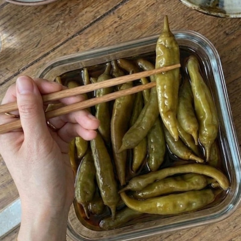 간장 달일 필요 없는 5분 완성 고추장아찌 담그는 법(청정원 햇살담은 장아찌 간장소스)