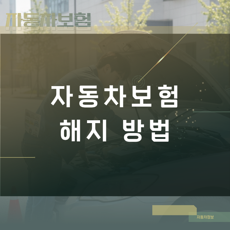 차량 양도·폐차 시 자동차보험 해지 방법과 필요서류 완벽 가이드