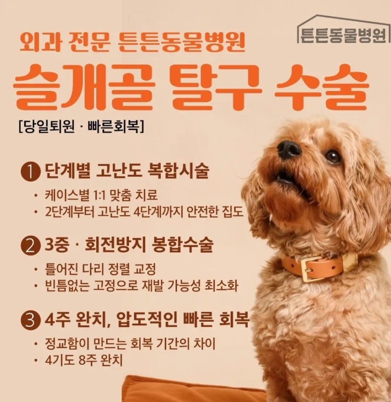 우리 강아지 걸음걸이가 이상하다면? 강아지 슬개골탈구 증상과 확인하는 방법 슬개골탈구....