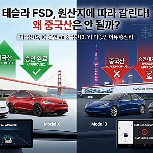 테슬라 FSD 자율주행 한국 승인 총정리 미국산 모델S·X는 가능 중국산 모델3·Y는 왜 안 될까?