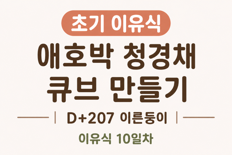 6개월 아기 초기 이유식 | 애호박 청경채 큐브 만들기(D+207 이유식 10일차)