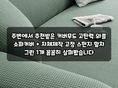 주변에서 추천받은 커버무드 고탄력 와플 소파커버 + 자체제작 고정 스펀지 말차 그린 1개 꼼....