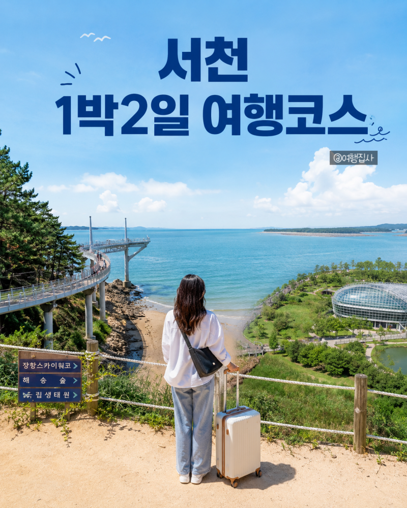 서천 1박2일 여행코스 국립생태원부터 장항스카이워크·홍원항까지, 처음 가도 실패 없는 코....