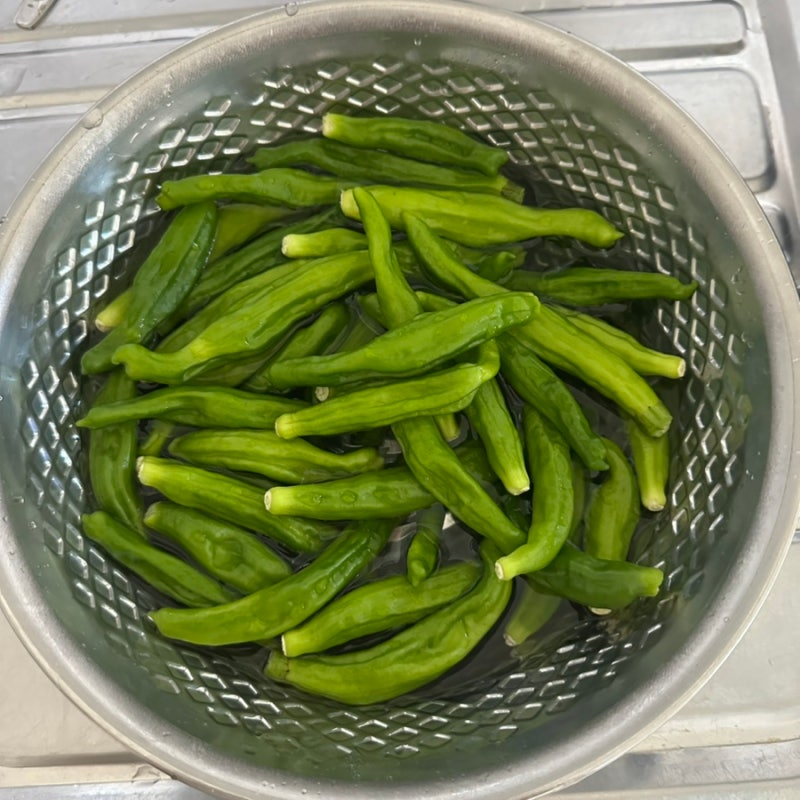 꽈리고추 멸치 볶음 황금 레시피 추천 여름 밑반찬 추천