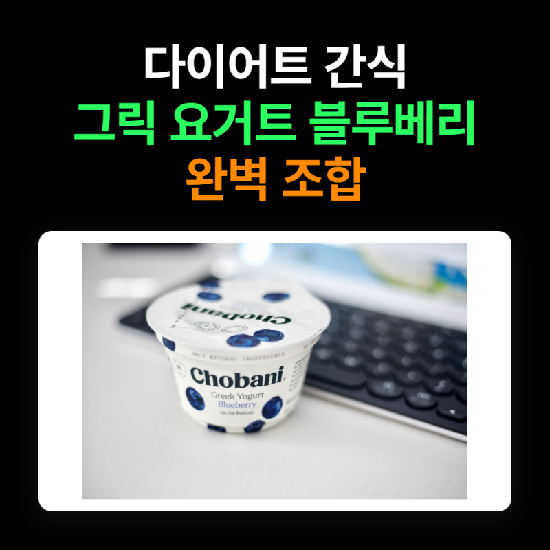 다이어트 끝판왕! 블루베리 그릭 요거트 조합으로 건강하게 슬림하게!